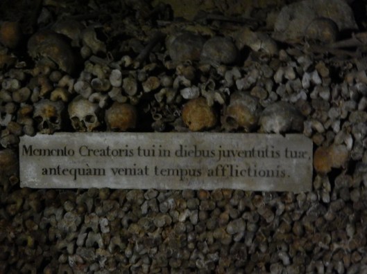 Remember now thy Creator in the days of youth as well as before the time of trouble